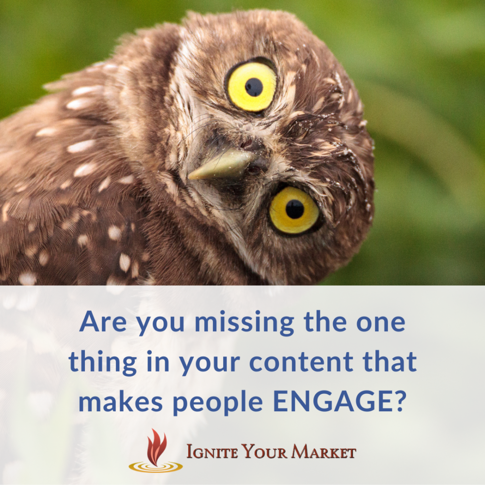 Are You Missing the 1 Thing in Your Content that Makes People ENGAGE?